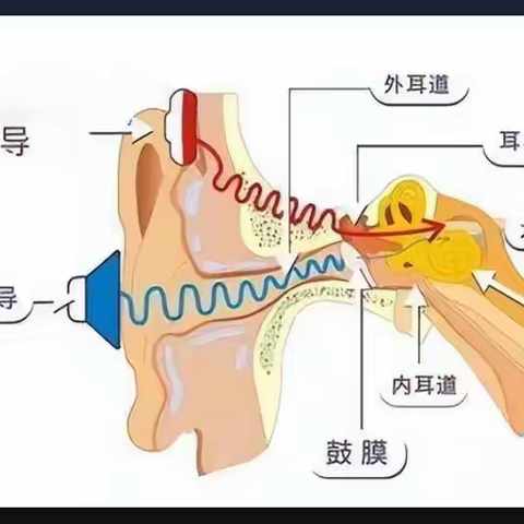 骨传导耳机伤耳朵吗？骨传导耳机哪个牌子好？