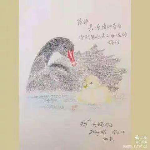 《怎么做一个恰到好处的母亲》线上读书交流会