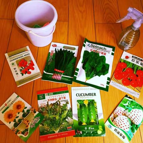 小园艺师的乐园