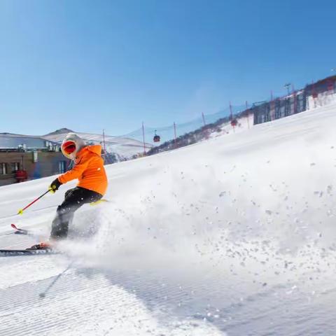 ❄️冰雪嘉年华～领航亲子之旅🏂