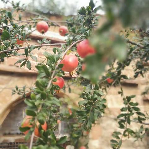 秋的收获——六中2018届9班测鱼写生纪实