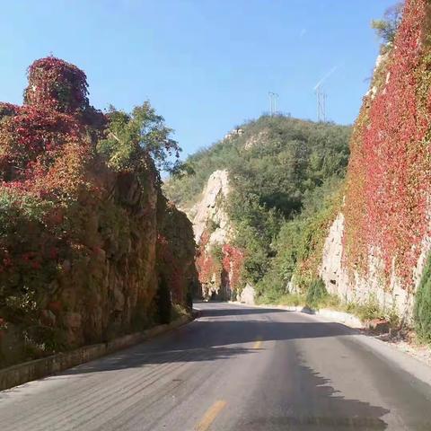 看万山红遍——六中2018届测鱼写生纪实