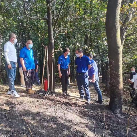 黄亚副主任带队到阳台山森林公园指导石岩片区火情后续处置工作