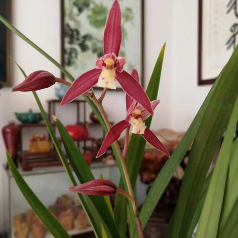 朋友啊朋友有你真好