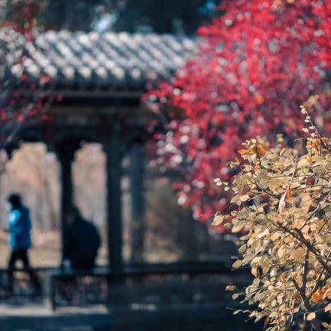 《景5》～迎泽湖畔