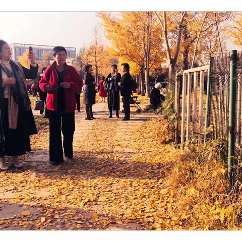 《秋日时光》～城里人的休闲生活