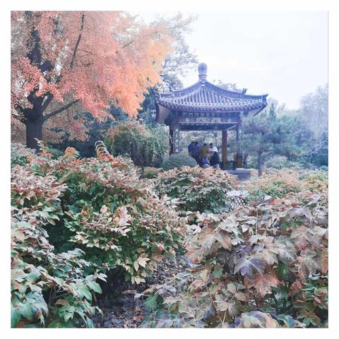 《景4》～迎泽湖畔