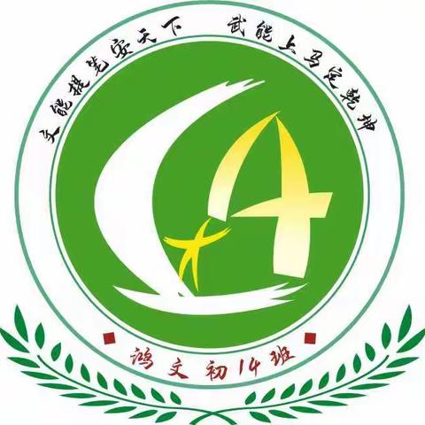 少年强则国强，少年智则国智，初14班，中华好少年