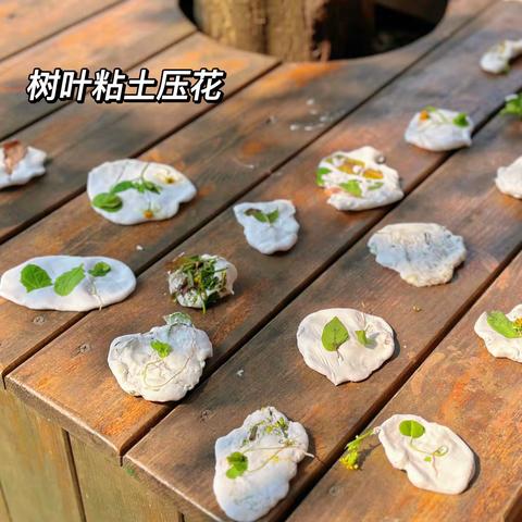 「寻找春天」 —— 小班自然美育课树叶黏土压花