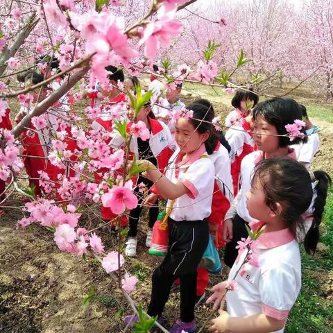 辉村小学四季研学旅行 —— 春之旅