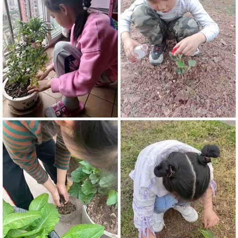 拥抱春天，呵护绿色一一二一中队植树节掠影