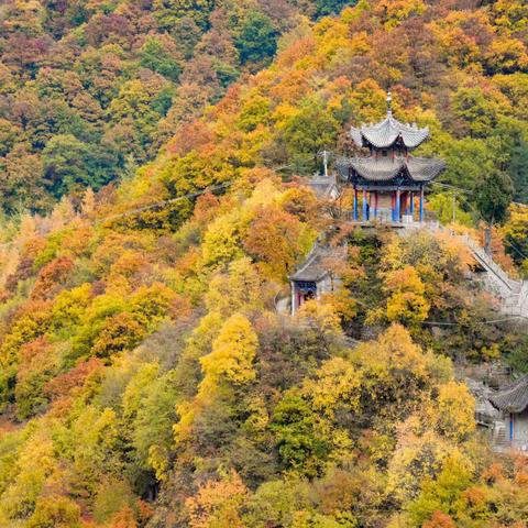 寻美中国甘肃天水（甘谷县古坡镇大草原）（黑潭寺）秋色迷人