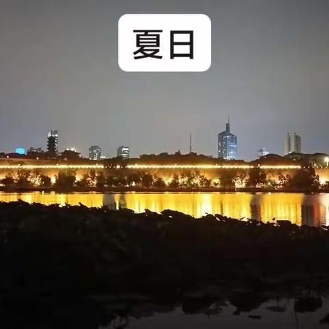 夜色玄武湖，夏日紫金山