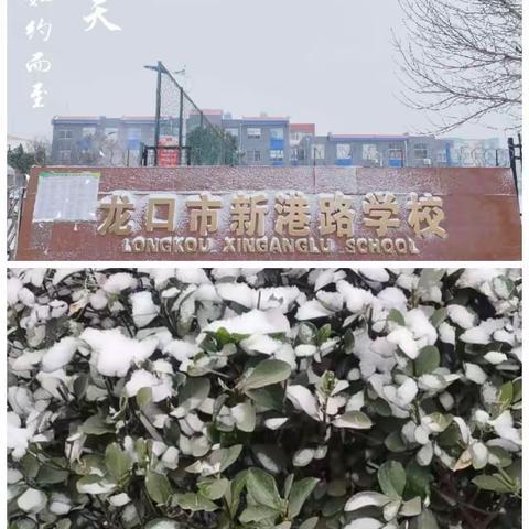 “大雪满校园，温情融积雪”——龙口市新港路学校开展冬日扫雪行动