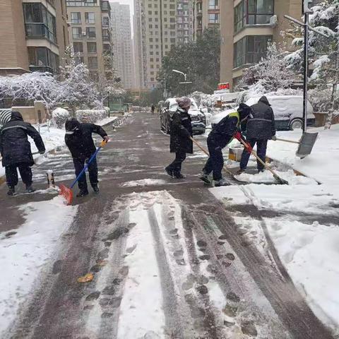 苏家屯区房产局小区办   浴“雪”奋战保畅通  防冰除雪在行动