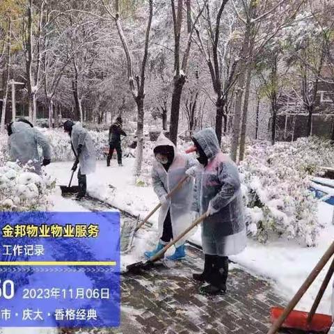 苏家屯区房产局   浴“雪”奋战保畅通  防冰除雪在行动