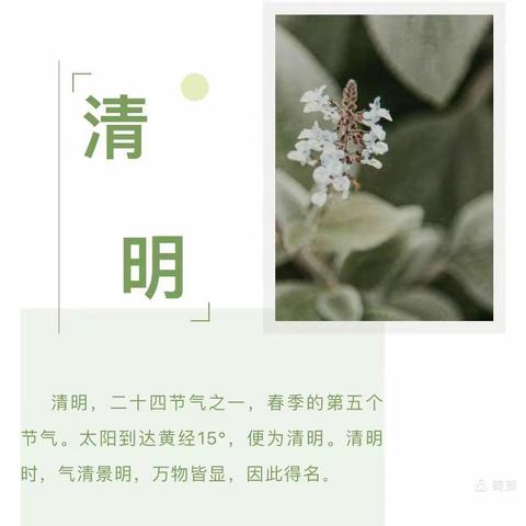 光朝金辉幼儿园——“清明时节话清明，别样清明一样情”的主题活动及注意事项