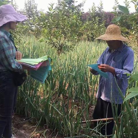 韩城市农业农村局9月1日工作动态