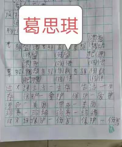 中心小学二（2）班学生作业展览