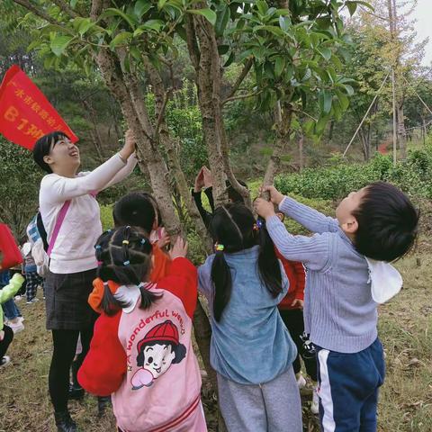 广水市铁路幼儿园B1班班级工作总结     彭红芳