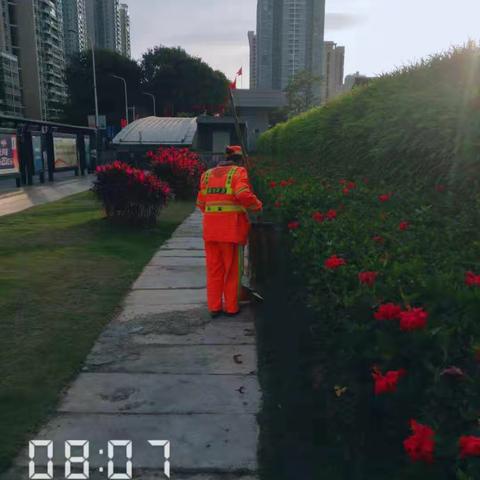 华富福保项目2020年2月3日工作日报