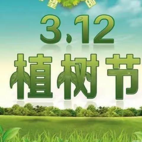 “我植树，我快乐”——2018级（11）班植树节活动纪实