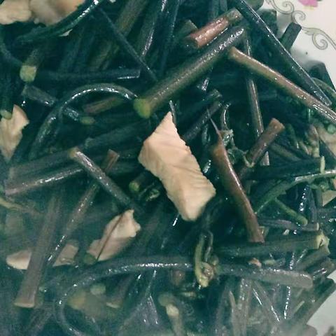 每周一菜《蕨菜炒肉》