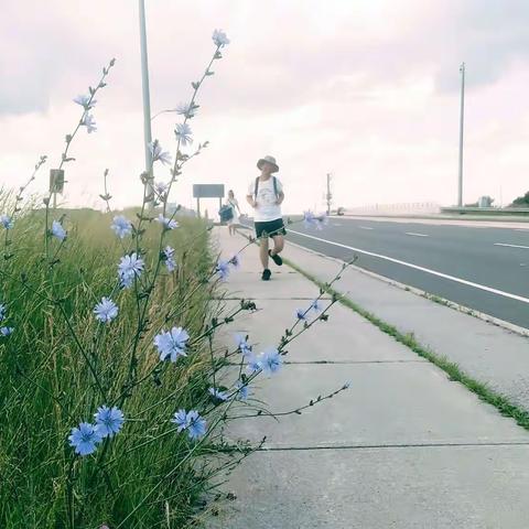 远航团队加拿大团建Day2