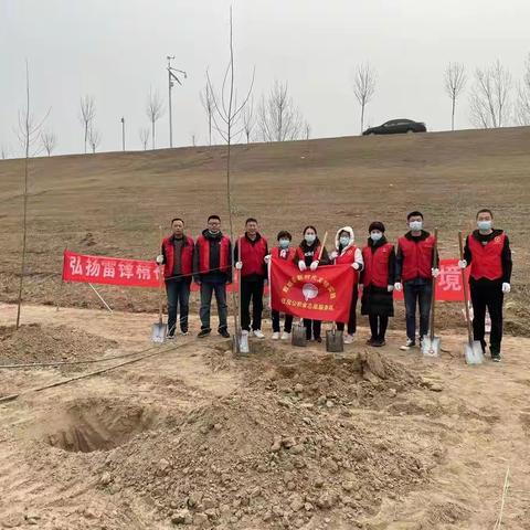 菏泽市住房公积金管理中心鄄城管理部开展义务植树活动