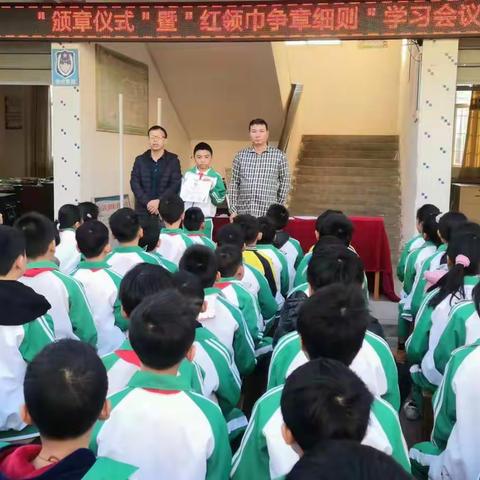 电城镇岭脚小学“红领巾争章”活动