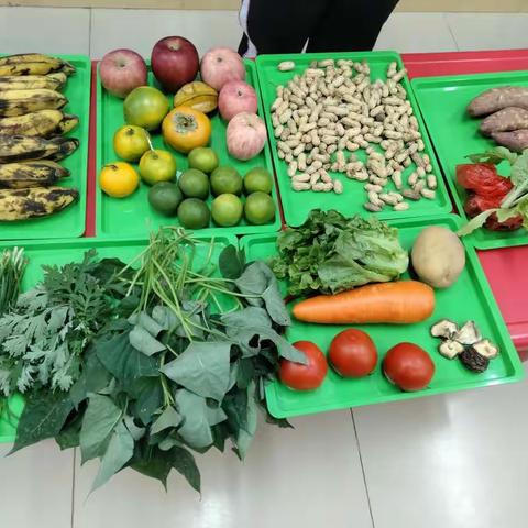 走进自然 相约秋播——临江中心幼儿园大一班主题课程活动