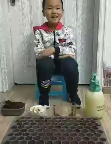居家劳动实践，五一种植小青菜，我是林口县第三小学一年一班赵雨鑫