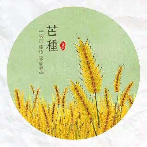 风吹麦浪，蝉鸣夏忙——淮阴实验小学幼儿园西坝分园小五班芒种系列活动