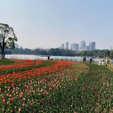 鹧鸪天·鄞州公园访春