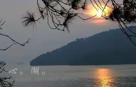 山庵、山寺、山夜