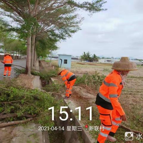 2021年4月14日（中联重科集团）天涯区槟榔、新联、妙林片自查自纠工作简报