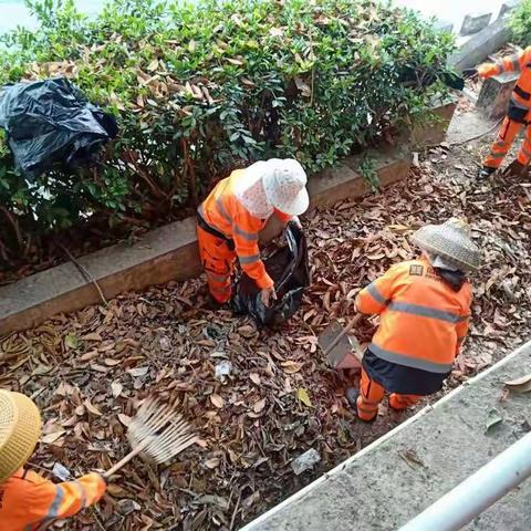 2021年4月19日（中联重科集团）天涯区槟榔、新联、妙林片自查自纠工作简报