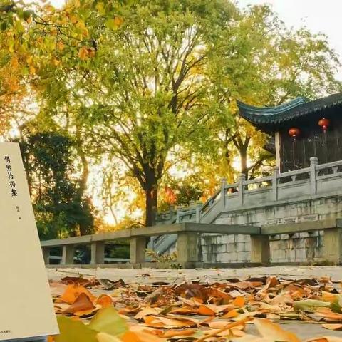 《偶然拾得集》定于元旦节发售！