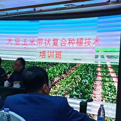 呼和浩特市鑫泰丰农业科技有限公司，为让农户实现“玉米不减产、增加大豆产量”的种植目标，解决农户的技术疑虑！
