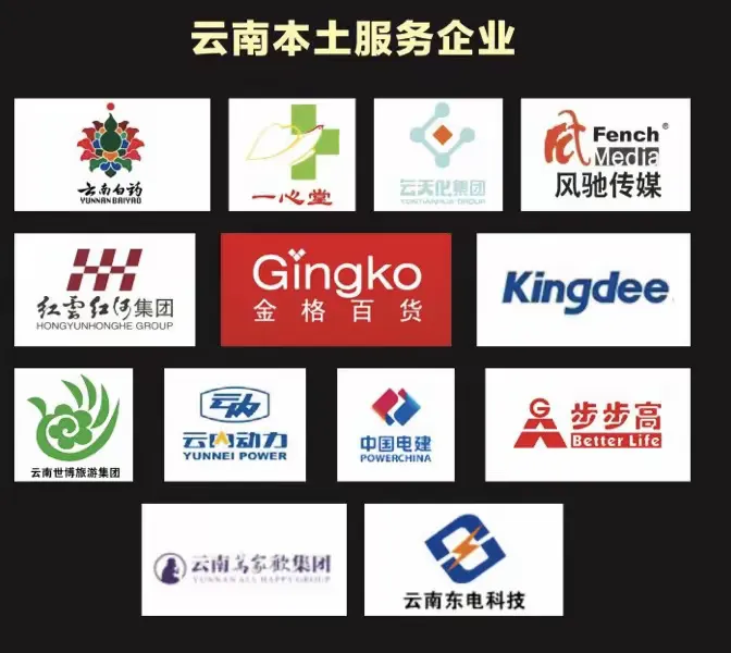 本土服务企业有云南白药、一心堂、金格……