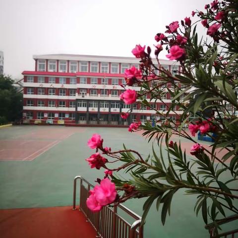 依然美丽的校园