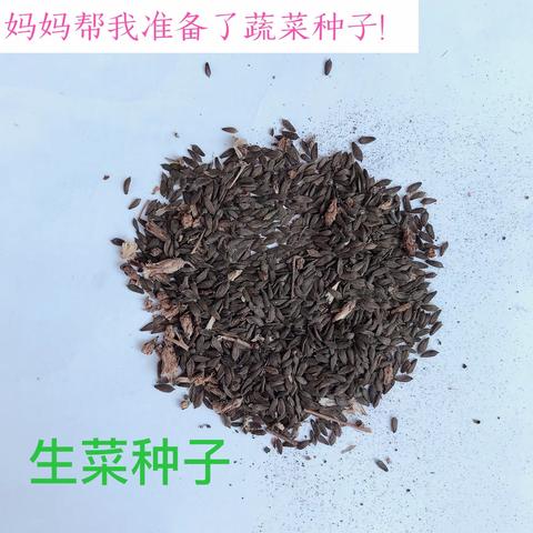 🌱播下希望的种子🌱——我是林口县第三小学🌱一年四班梁盛御🌱