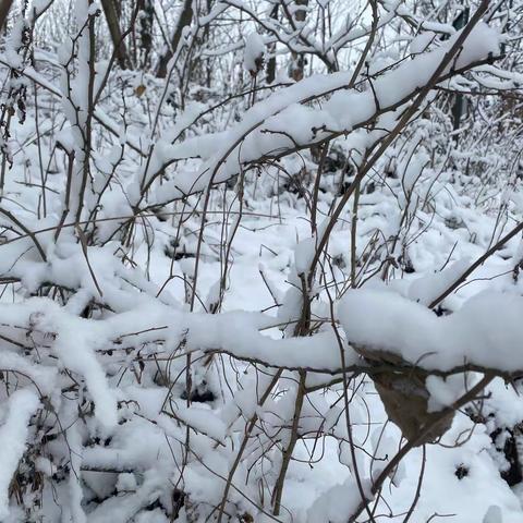 白龙桥第二小学 三（2）班 徐海航