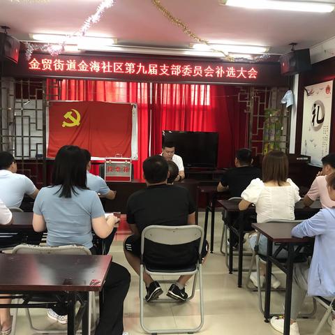 龙华区金贸街道金海社区党支部第九届补选大会圆满召开