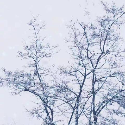 天南地北情如故