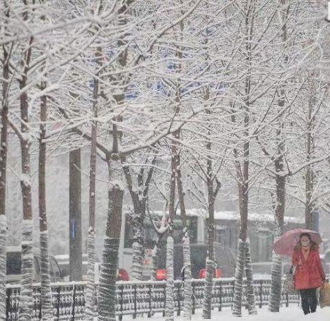 抗击暴风雪     坚韧公交人