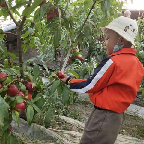 快乐绽放，童心飞扬——乌恰县第二幼儿园中班