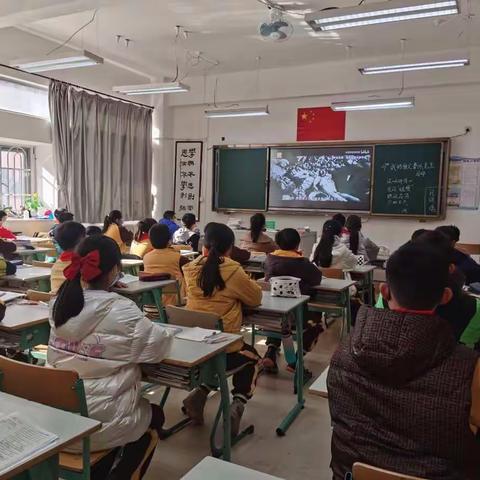 快乐战疫，你我同行——怡雅小学六⑸班第16周17周周总结