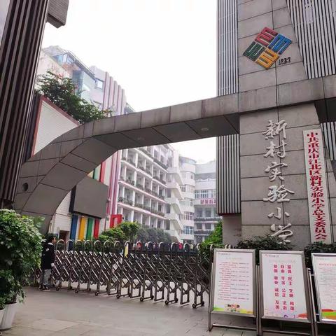 走近新村实验小学