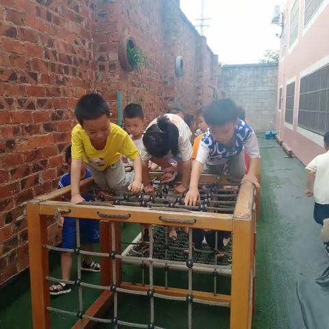 新桥镇中心幼儿园大一班第十三周精彩回顾